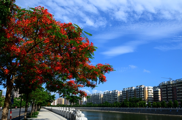 和谐之美 伍凤英 拍摄地 通济河 13680506081.jpg