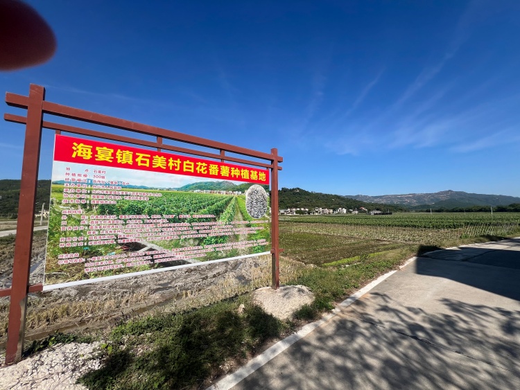 586c9b503214acd4fe5912fe47dafe87 (1).jpg