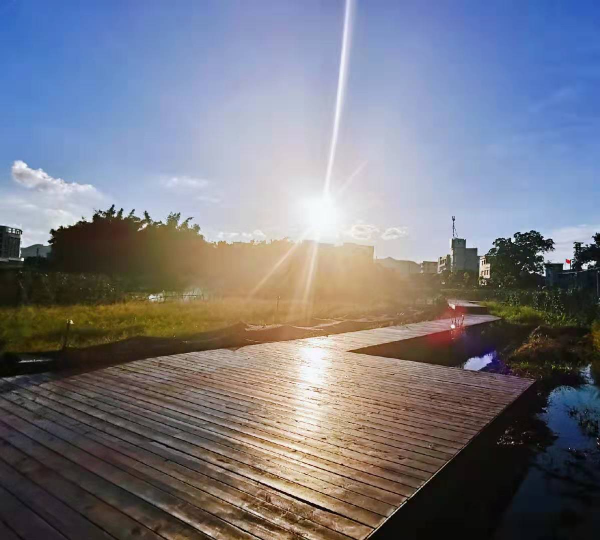 菩提古树公园2.jpg