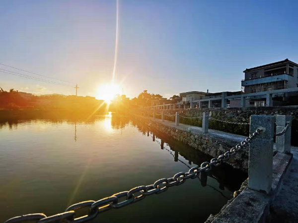 菩提古树公园3.jpg