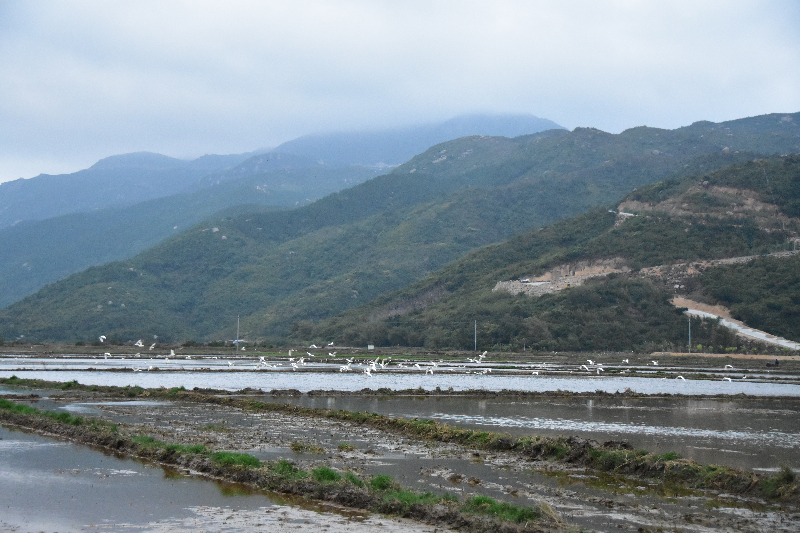 DSC_4285.JPG