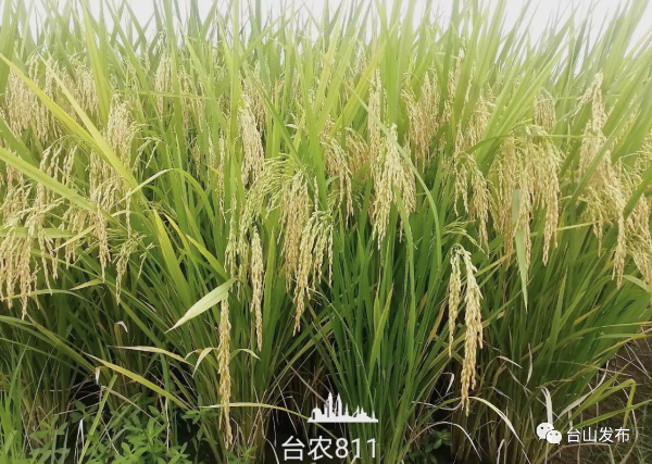 微信图片_20210923165014.png