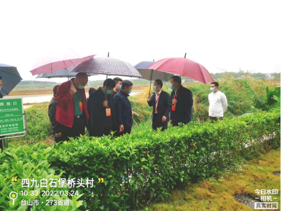 台山市人大常委会视察我市农村生活污水处理设施建设管理工作1112.png