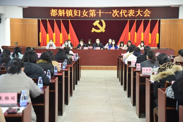 b2.jpg