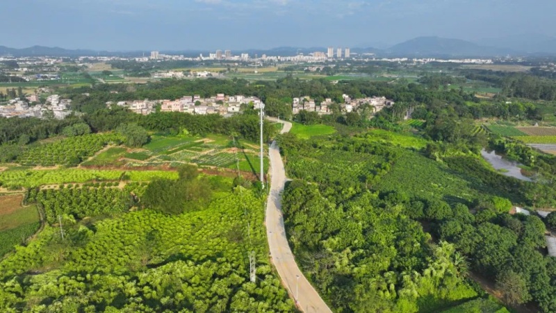 道路建设1.jpg