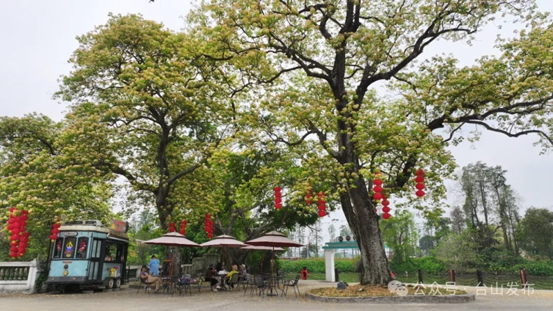 微信图片编辑_20240517090215.jpg