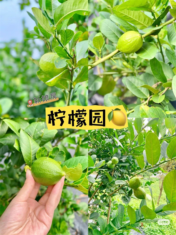 微信图片_20240819114314.jpg