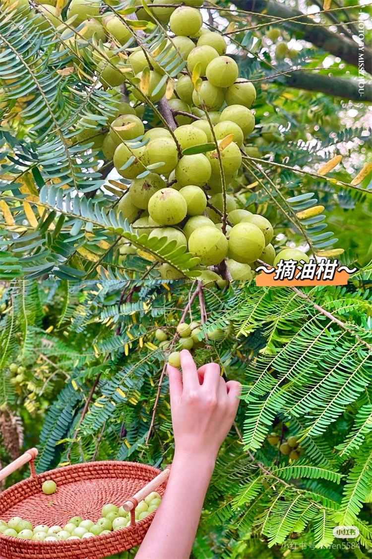 微信图片_20240819114316.jpg