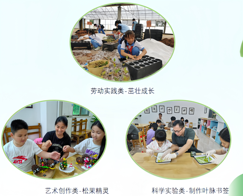 微信图片_20240826091213.png