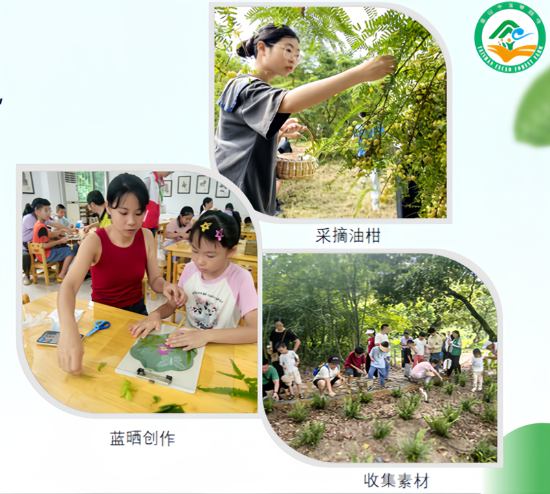 微信图片_20240826091200.png