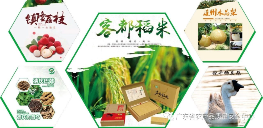 微信图片_20240902162640.jpg