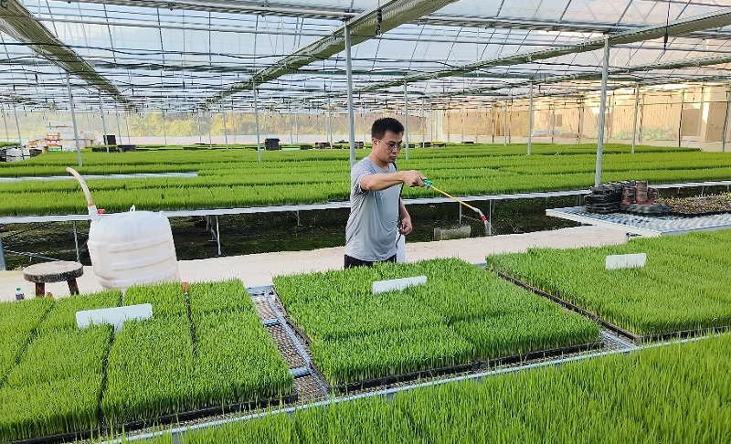微信截图_20250122143916.png