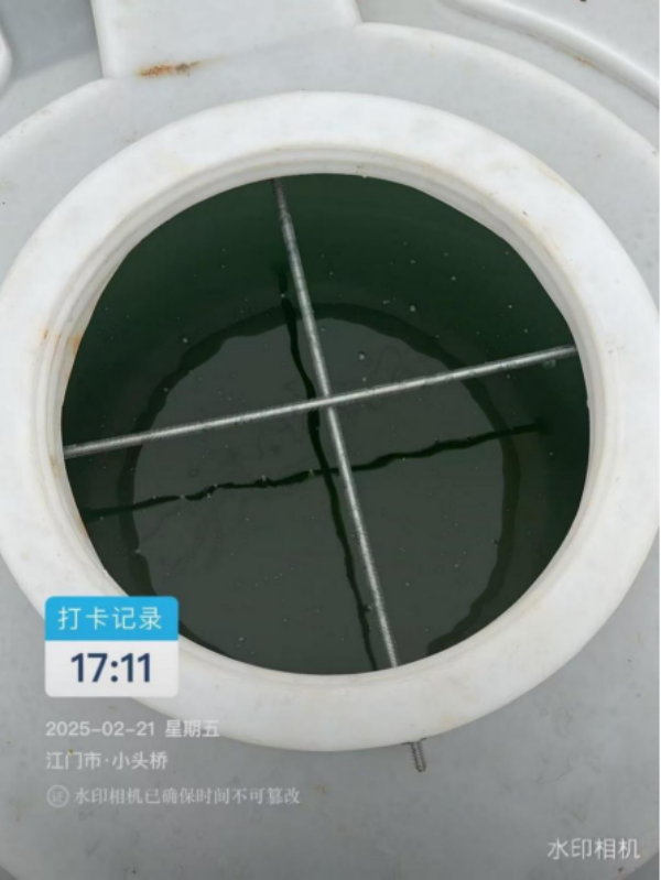 clipbord_1740994546128.png