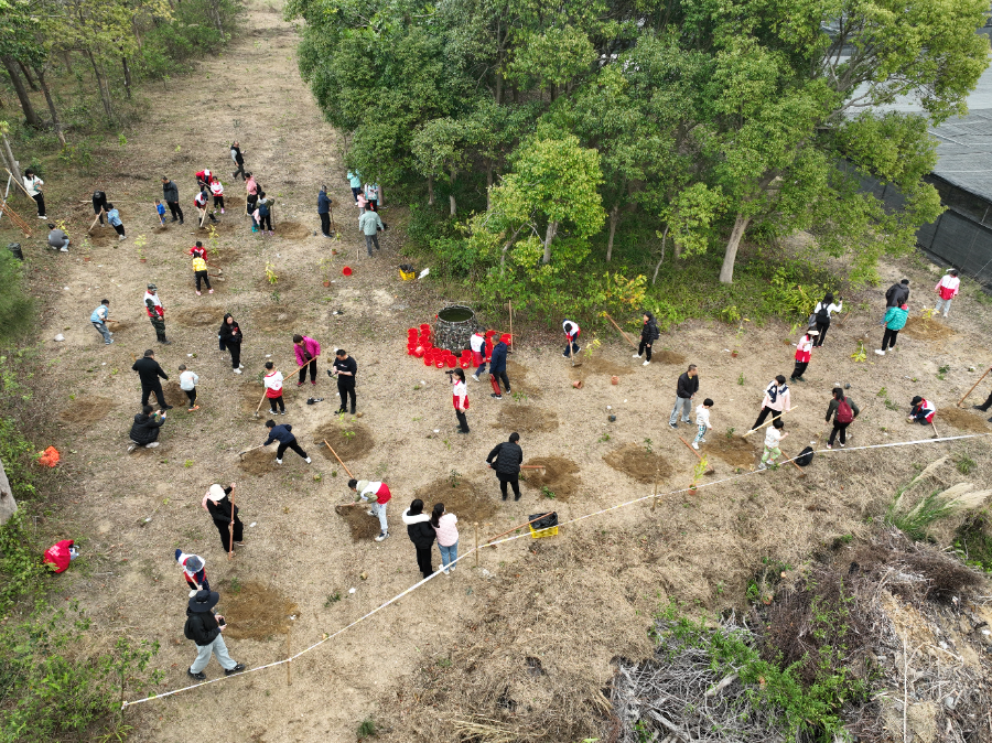 DJI_20250309100653_0003_V.JPG