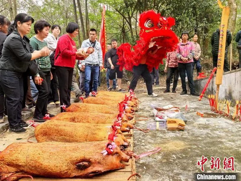 微信图片_20250407093944.jpg