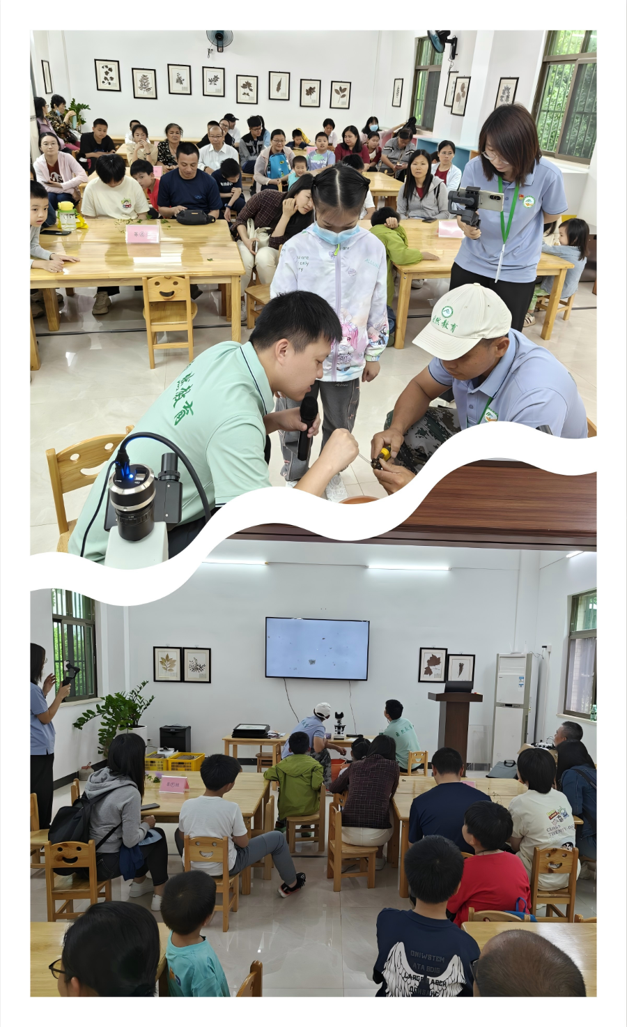 WPS拼图0.png