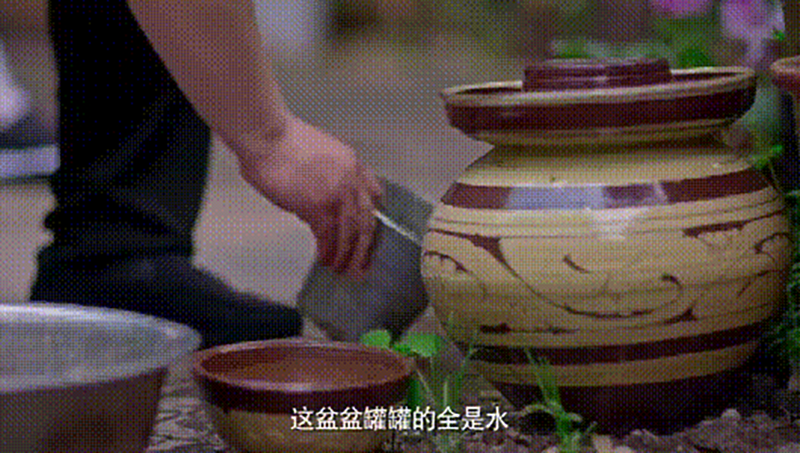 图片8-8.png