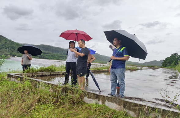 防洪蓄水双线告捷！台山水利交出2025年汛期答卷1484.png